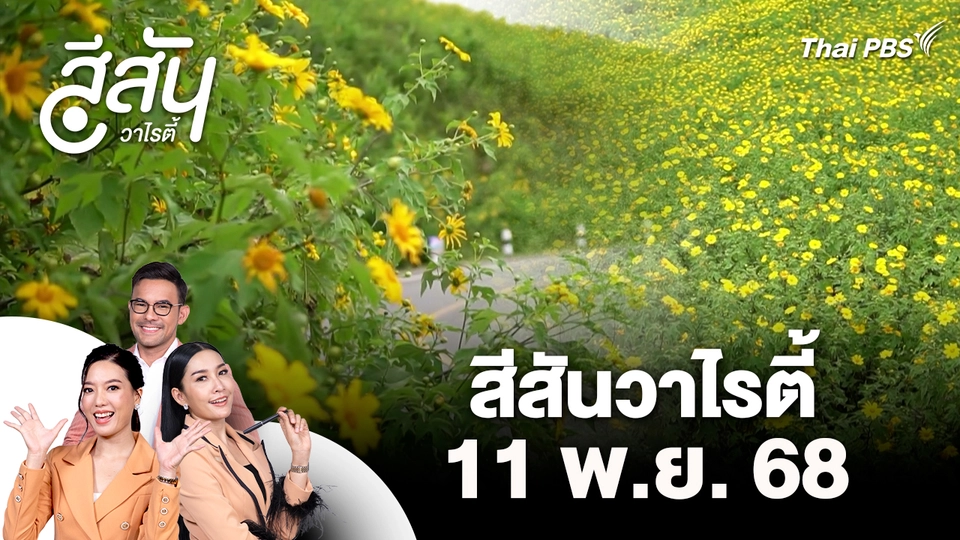 สีสันวาไรตี้ (11 พ.ย. 68)