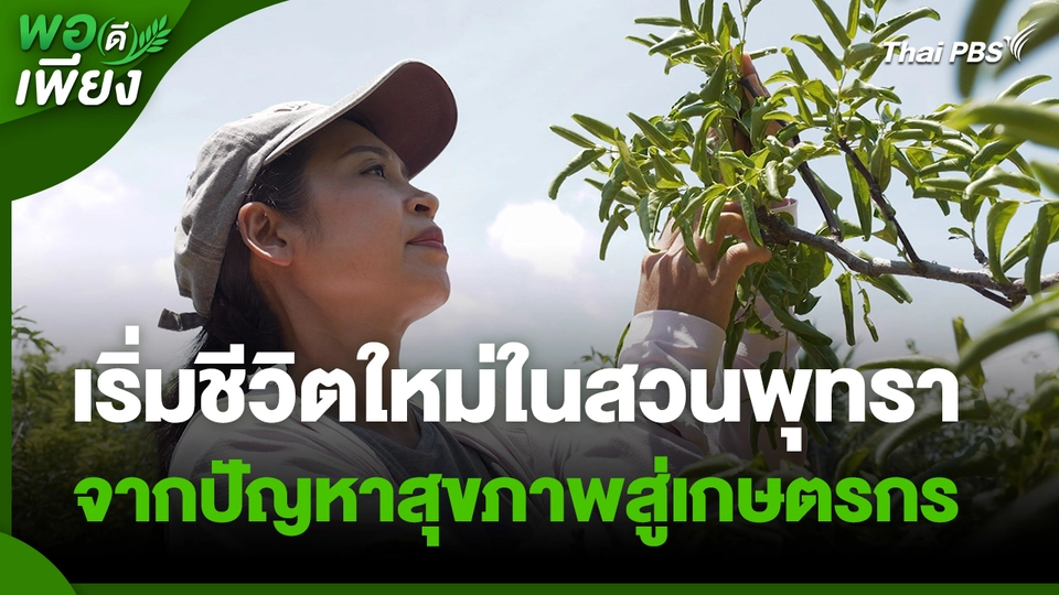 พอดีพอเพียง : เริ่มชีวิตใหม่ในสวนพุทรา จากปัญหาสุขภาพสู่เกษตรกร