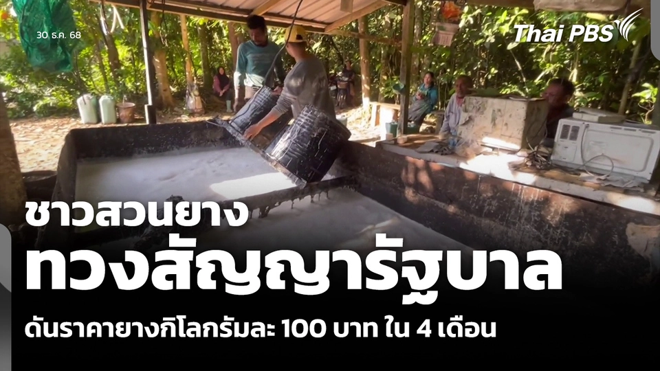 ชาวสวนยาง ทวงสัญญารัฐบาล ดันราคายางกิโลกรัมละ 100 บาท ใน 4 เดือน