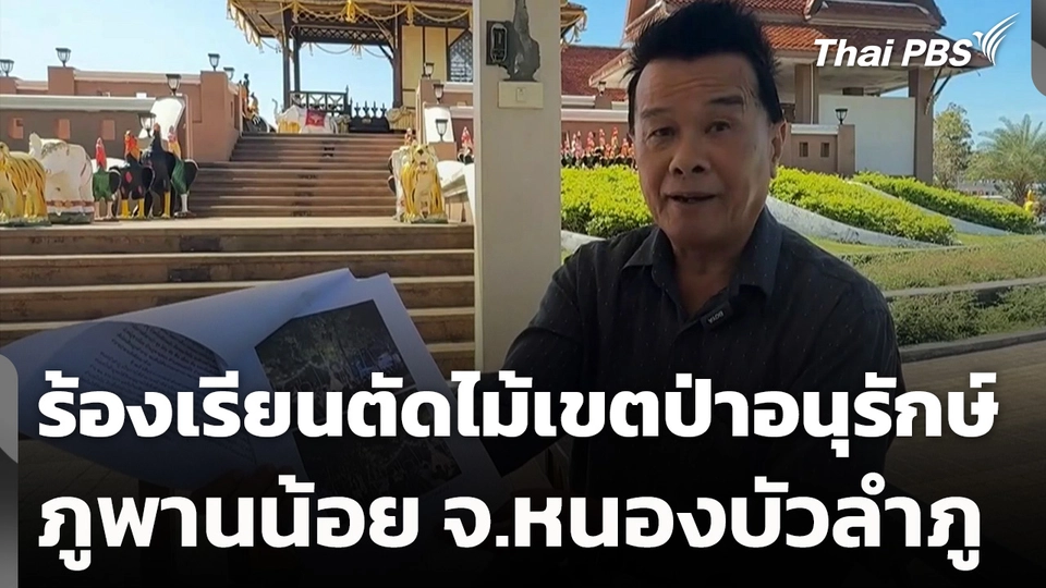 ร้องเรียนตัดไม้เขตป่าอนุรักษ์ภูพานน้อย จ.หนองบัวลำภู