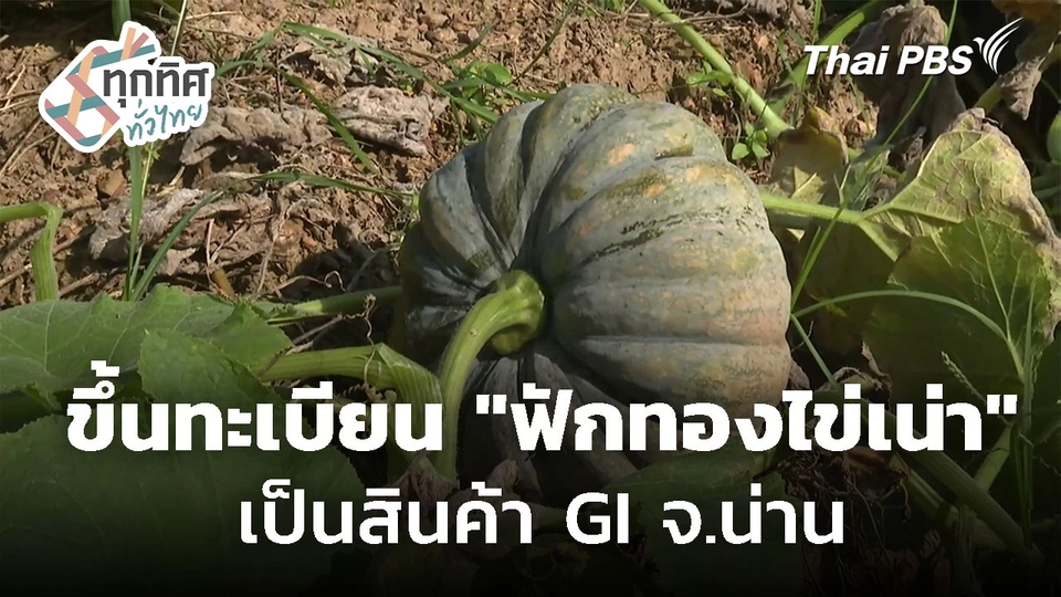 เตรียมขึ้นทะเบียน "ฟักทองไข่เน่า" เป็นสินค้า GI จ.น่าน 