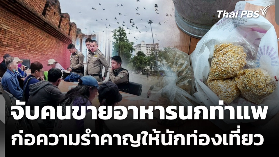 ตร.เชียงใหม่ จับคนขายอาหารนกประตูท่าแพ ก่อความรำคาญให้นักท่องเที่ยว