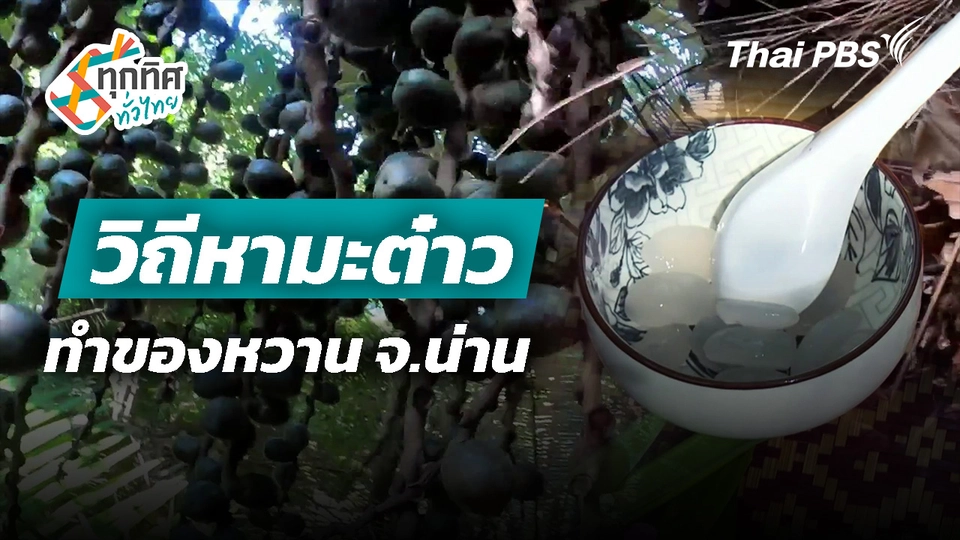 วิถีหามะต๋าวทำของหวาน จ.น่าน