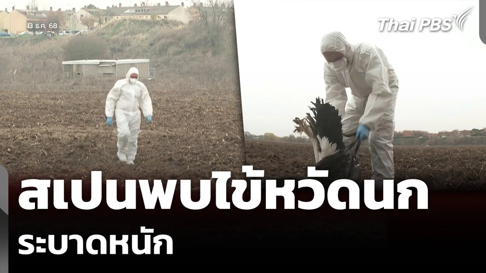 สเปนพบไข้หวัดนก ระบาดหนัก