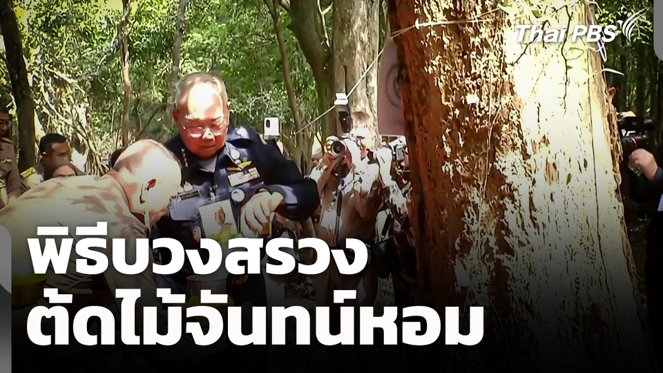 พิธีบวงสรวงตัดไม้จันทน์หอม