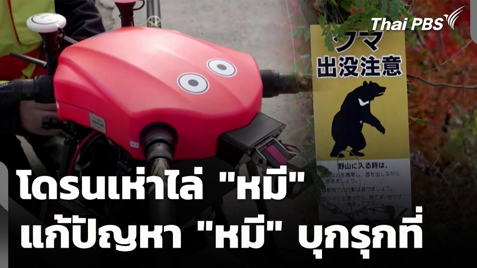 นวัตกรรมโดรนเห่าไล่ "หมี" ประเทศญี่ปุ่น