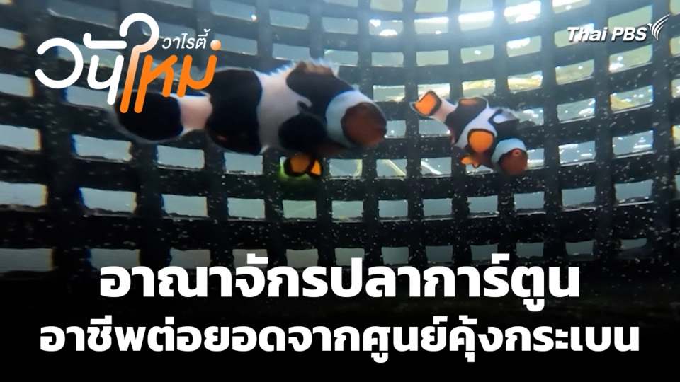 อาณาจักรปลาการ์ตูน อาชีพต่อยอดจากศูนย์คุ้งกระเบน