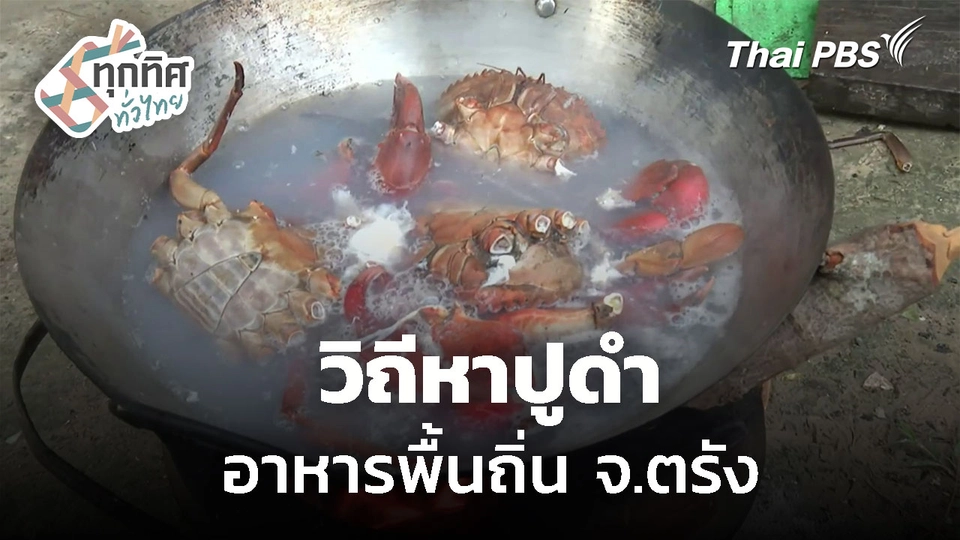 วิถีหาปูดำ ทำอาหารพื้นถิ่น จ.ตรัง