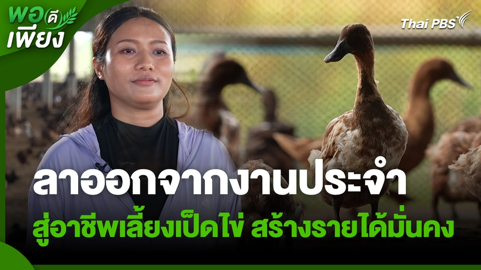 พอดีพอเพียง : ลาออกจากงานประจำ สู่อาชีพเลี้ยงเป็ดไข่ สร้างรายได้มั่นคง