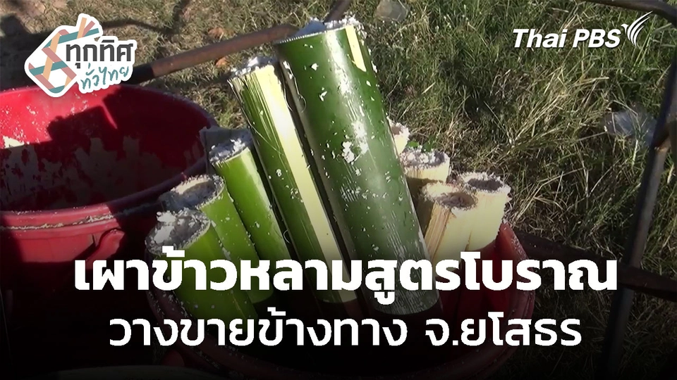 ชาวบ้านเผาข้าวหลามสูตรโบราณ จ.ยโสธร
