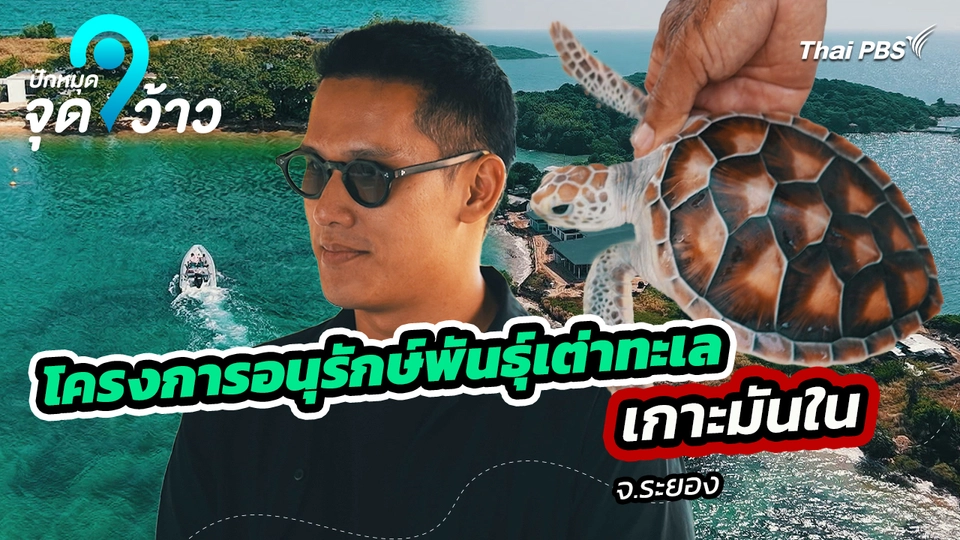 ปักหมุดจุดว้าว : โครงการอนุรักษ์พันธุ์เต่าทะเล เกาะมันใน จ.ระยอง