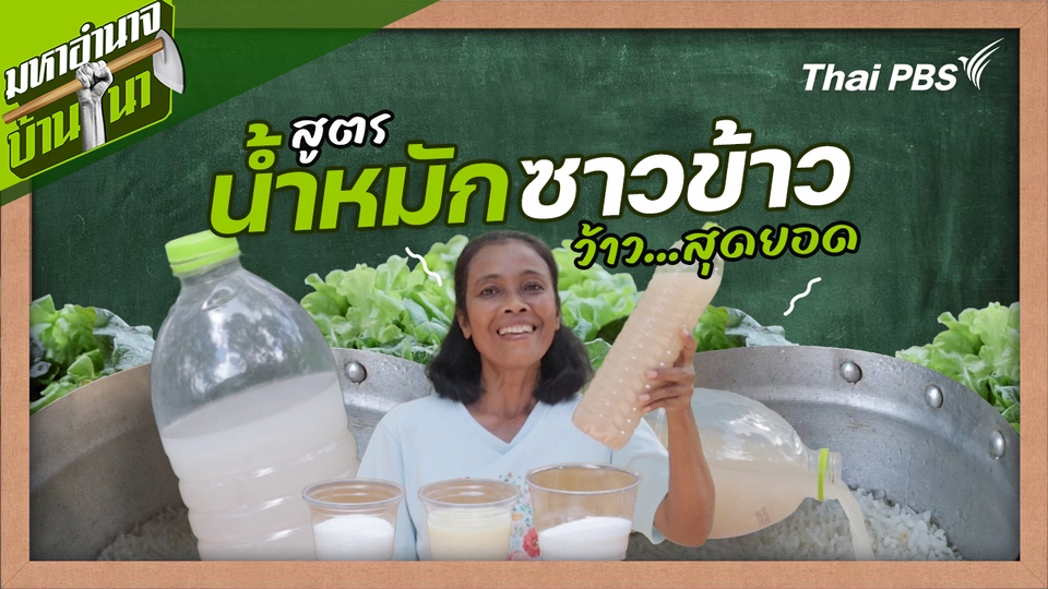 สูตรลับฉบับบ้านนา : สูตรน้ำหมักซาวข้าว ว้าว...สุดยอด