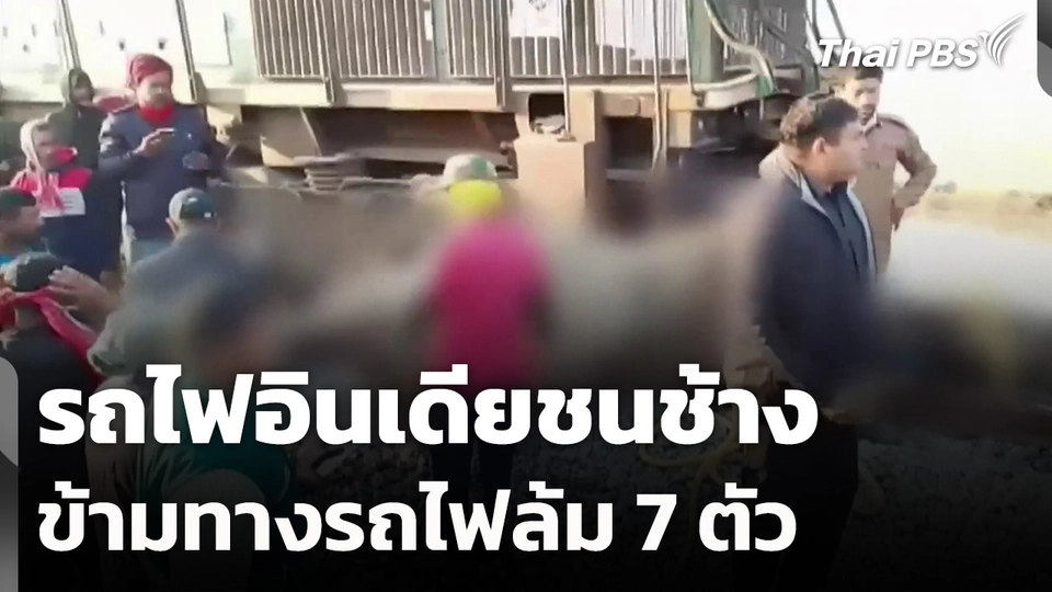 รถไฟอินเดียชนช้างข้ามทางรถไฟล้ม 7 ตัว