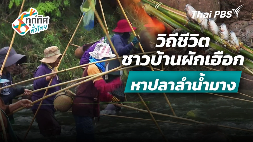 วิถีชีวิตชาวบ้านผักเฮือกหาปลาลำน้ำมาง
