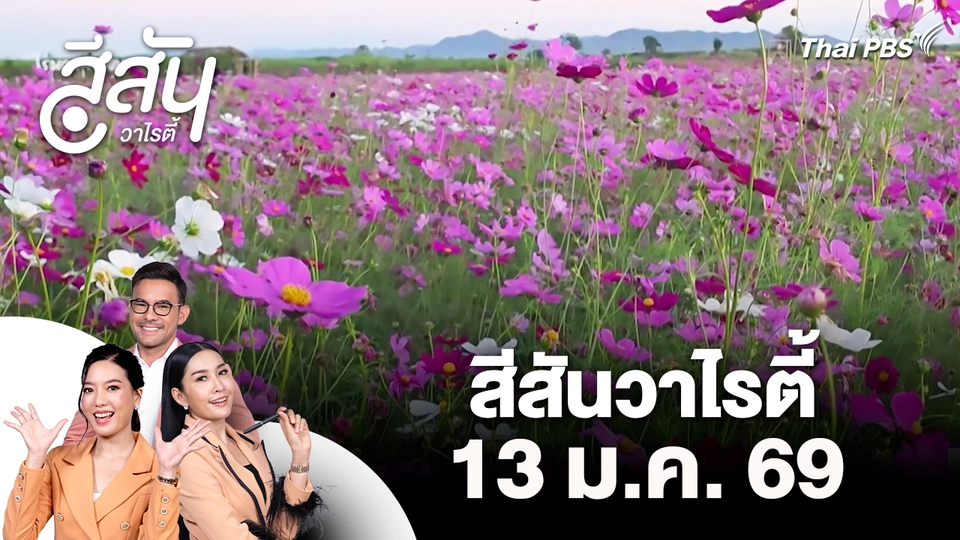 สีสันวาไรตี้ (13 ม.ค. 69)