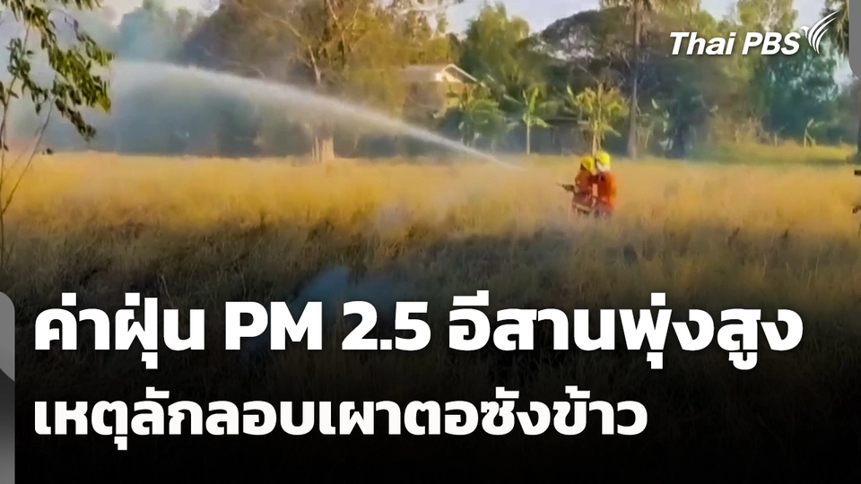 ค่าฝุ่น PM 2.5 อีสานพุ่งสูง เหตุลักลอบเผาตอซังข้าว 