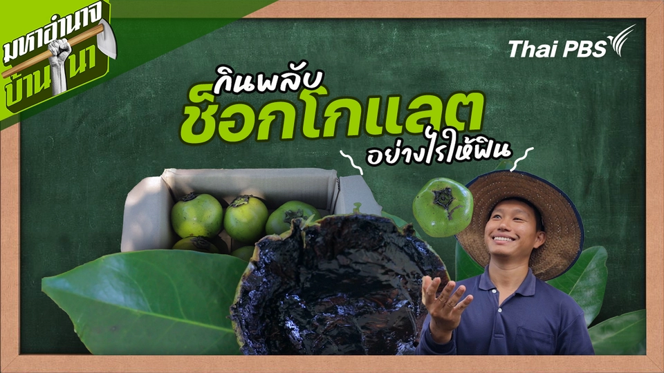 สูตรลับฉบับบ้านนา : กินพลับช็อกโกแลต อย่างไรให้ฟิน