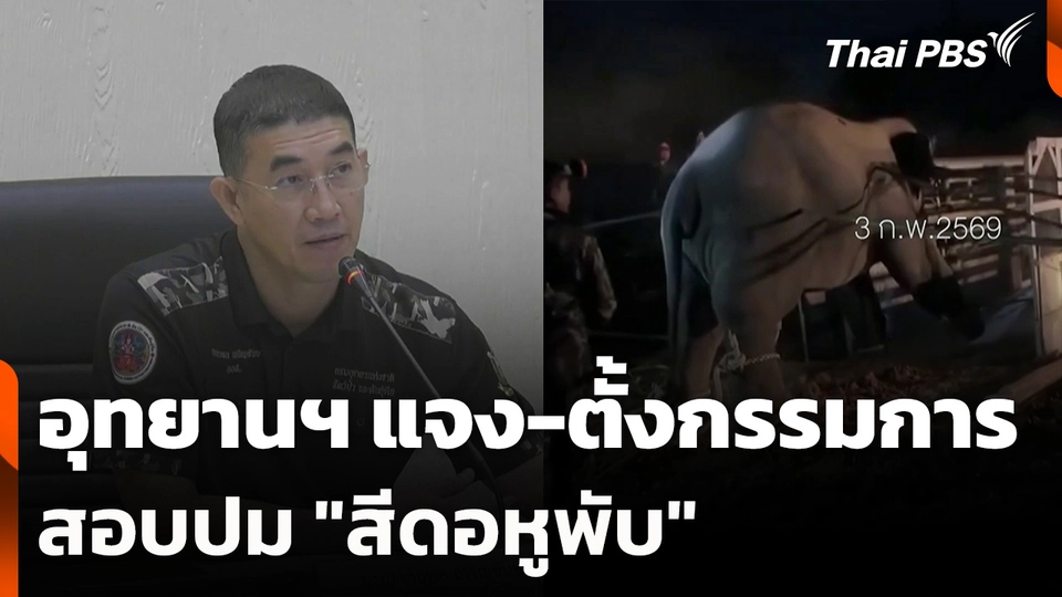 อุทยานฯ แจง-ตั้งกรรมการสอบปม "สีดอหูพับ"