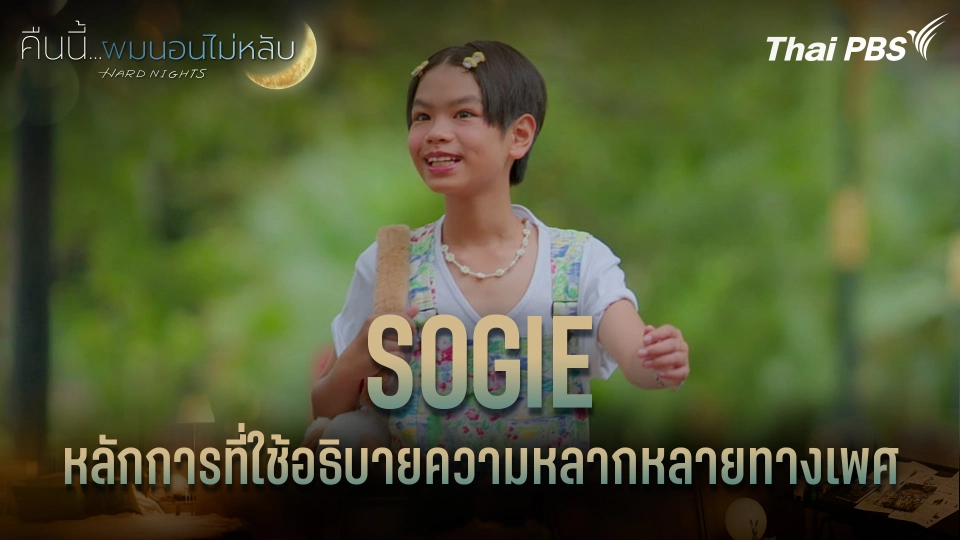 SOGIE หลักการที่ใช้อธิบายความหลากหลายทางเพศ