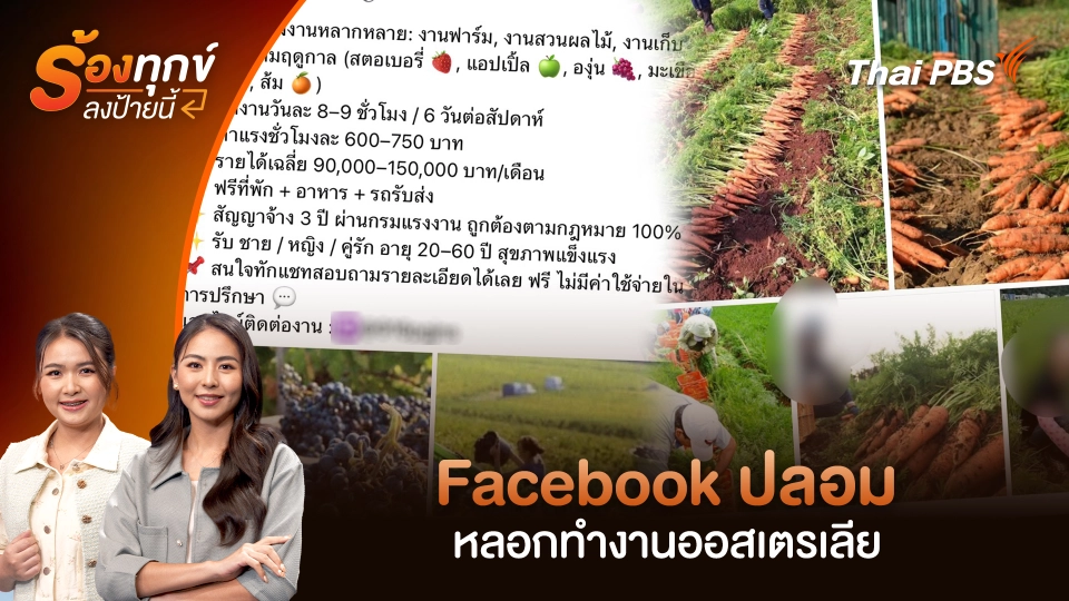 Facebook ปลอม หลอกทำงานออสเตรเลีย