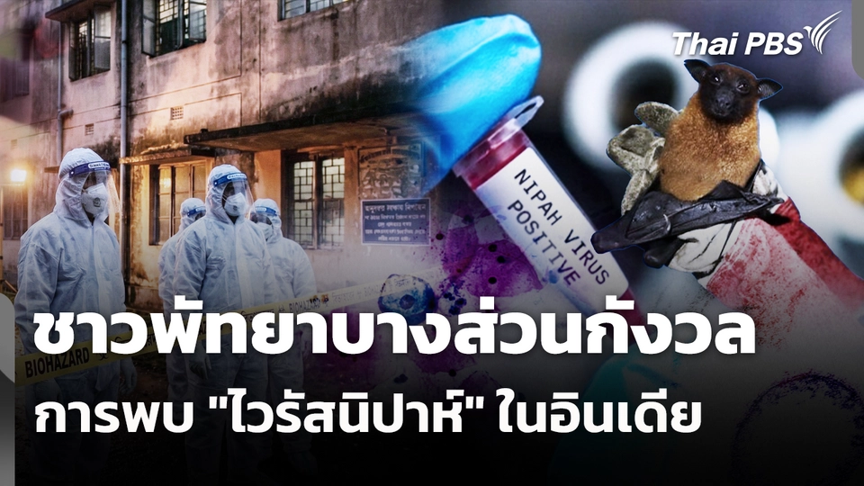 ชาวพัทยาบางส่วนกังวลการพบ "ไวรัสนิปาห์" ในอินเดีย