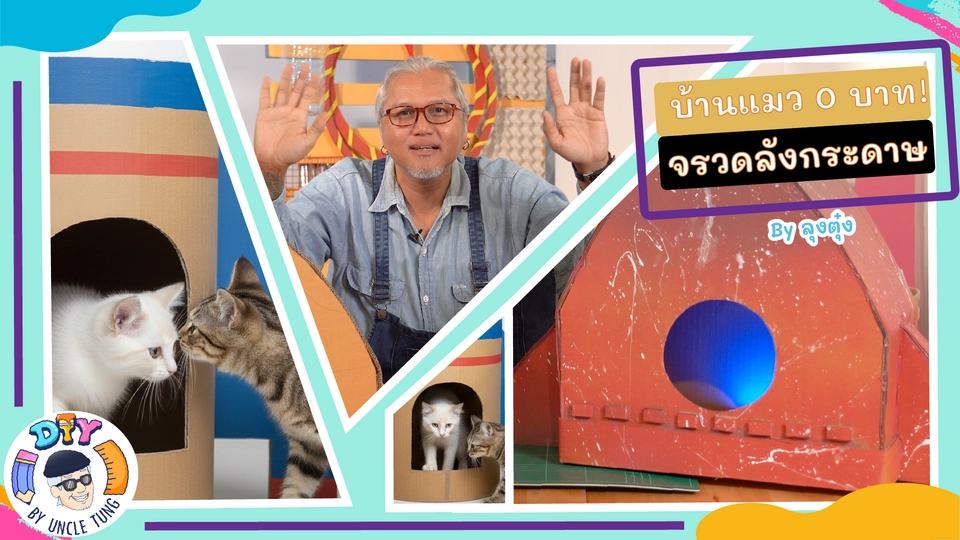 บ้านจรวดน้องหมาน้องแมว