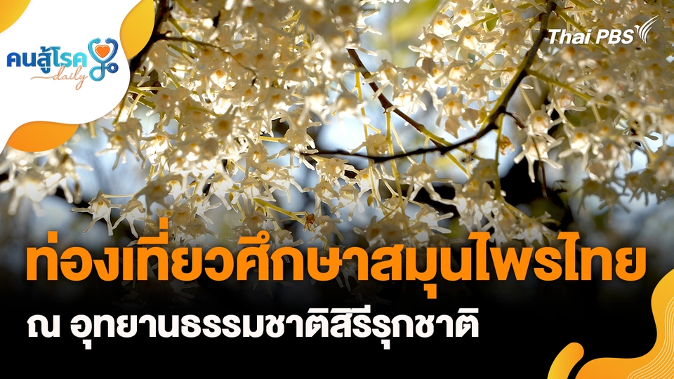 ท่องเที่ยวศึกษาสมุนไพรไทย ณ อุทยานธรรมชาติสิรีรุกชาติ