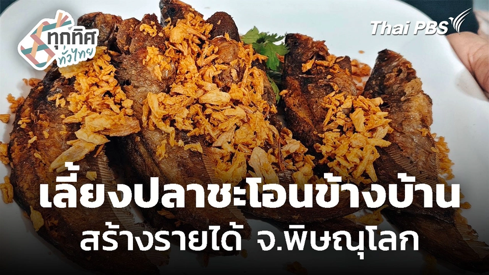 แปรรูปปลาชะโอน สร้างรายได้เสริม จ.พิษณุโลก