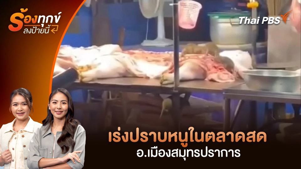 เร่งปราบหนูในตลาดสด อ.เมืองสมุทรปราการ