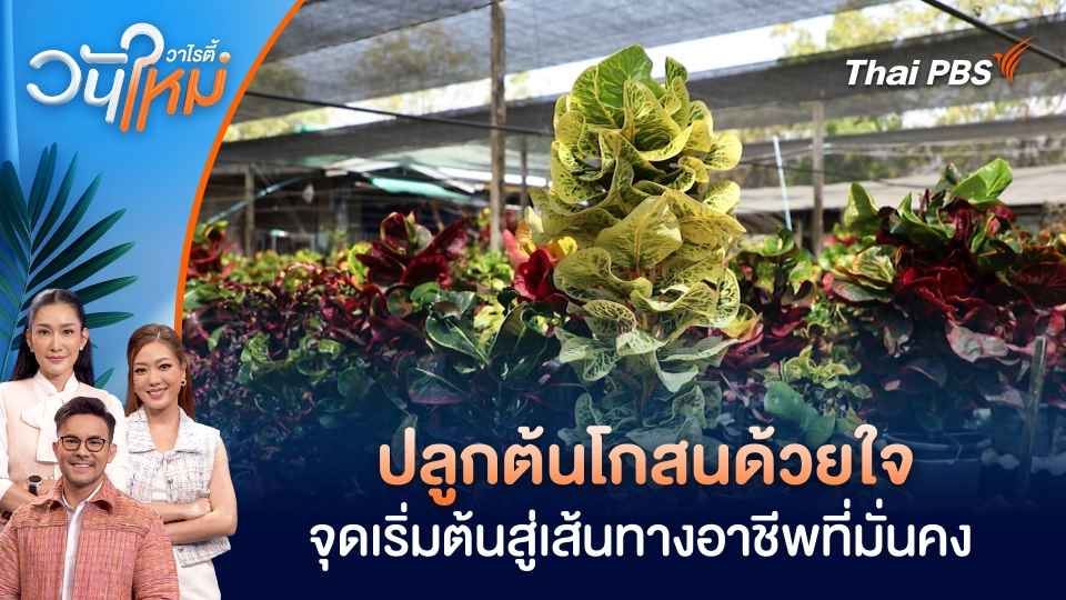 ปลูกต้นโกสนด้วยใจ จุดเริ่มต้นสู่เส้นทางอาชีพที่มั่นคง | วันใหม่วาไรตี้ | 21 ม.ค. 69