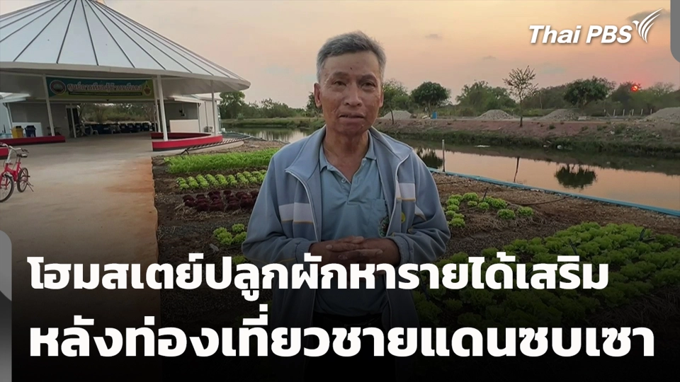 โฮมสเตย์ปลูกผักหารายได้เสริม หลังท่องเที่ยวชายแดนซบเซา