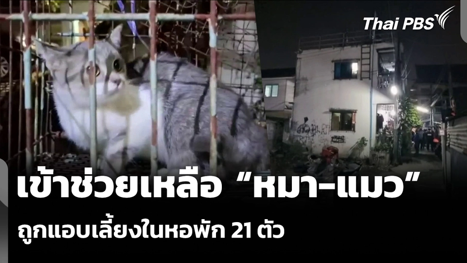 เข้าช่วยเหลือ “หมา-แมว” ถูกแอบเลี้ยงในหอพัก 21 ตัว