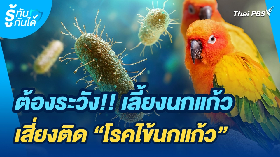 รู้ทันกันได้ : ต้องระวัง!! เลี้ยงนกแก้วเสี่ยงติด “โรคไข้นกแก้ว”