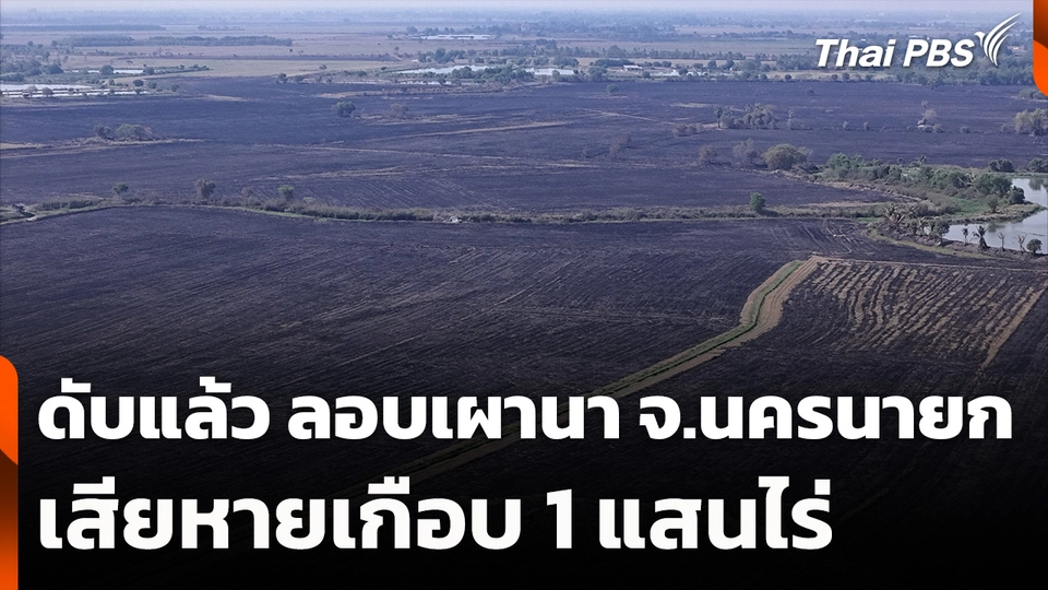 ดับแล้ว ลักลอบเผานา จ.นครนายก เสียหายเกือบ 1 แสนไร่