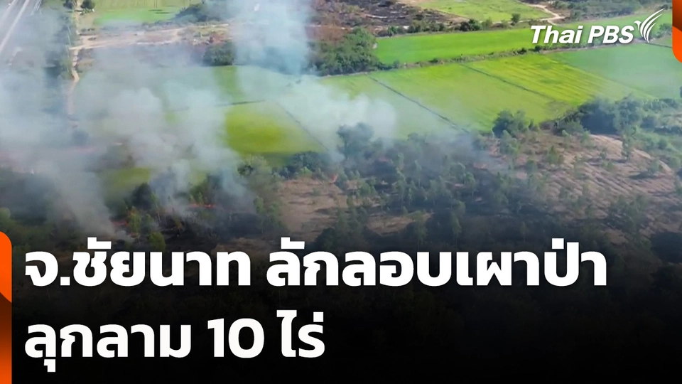 จ.ชัยนาท ลักลอบเผาป่าลุกลาม 10 ไร่