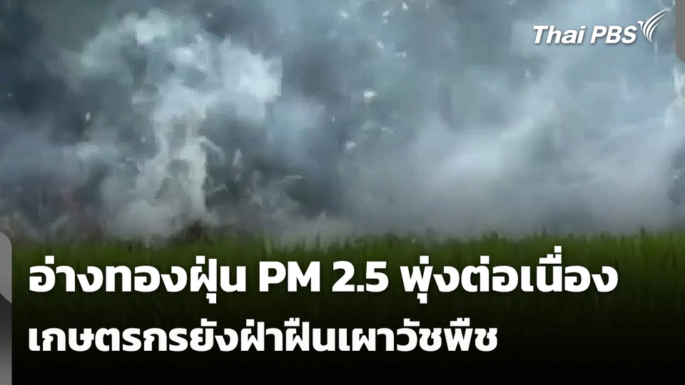 จ.อ่างทอง ฝุ่น PM 2.5 พุ่งต่อเนื่อง เกษตรกรยังฝ่าฝืนเผาวัชพืช