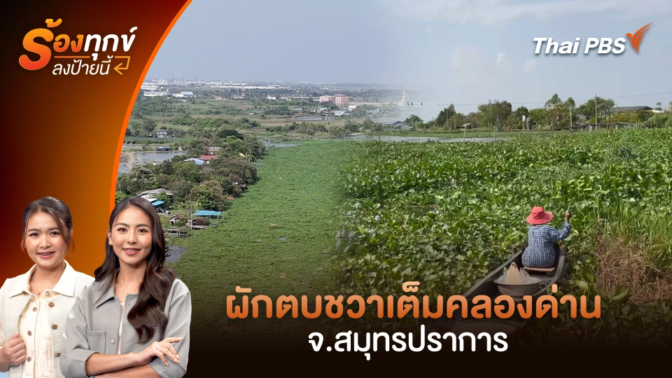 ผักตบชวาเต็มคลองด่าน จ.สมุทรปราการ