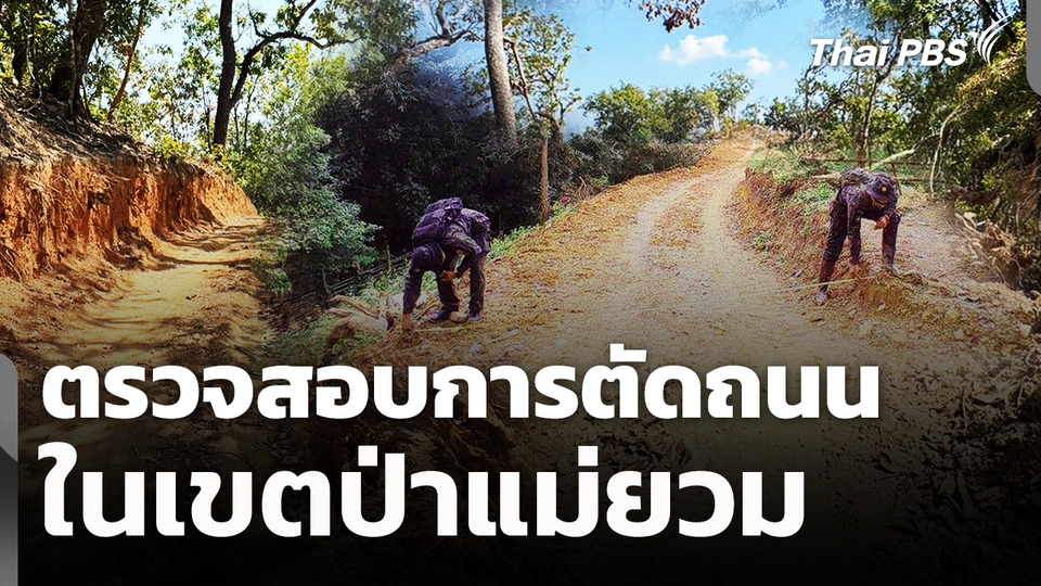 ตรวจสอบการตัดถนนในเขตป่าแม่ยวม