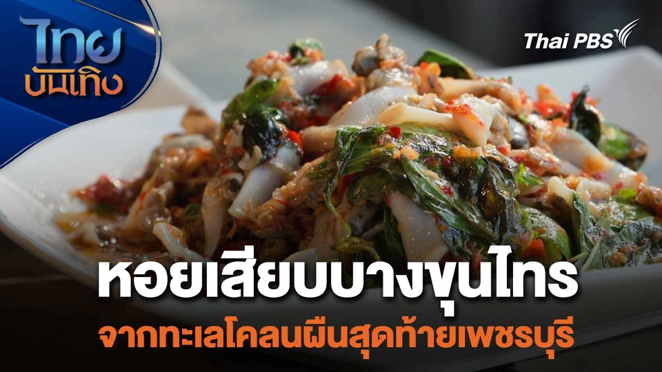 หอยเสียบบางขุนไทร จากทะเลโคลนผืนสุดท้ายเพชรบุรี