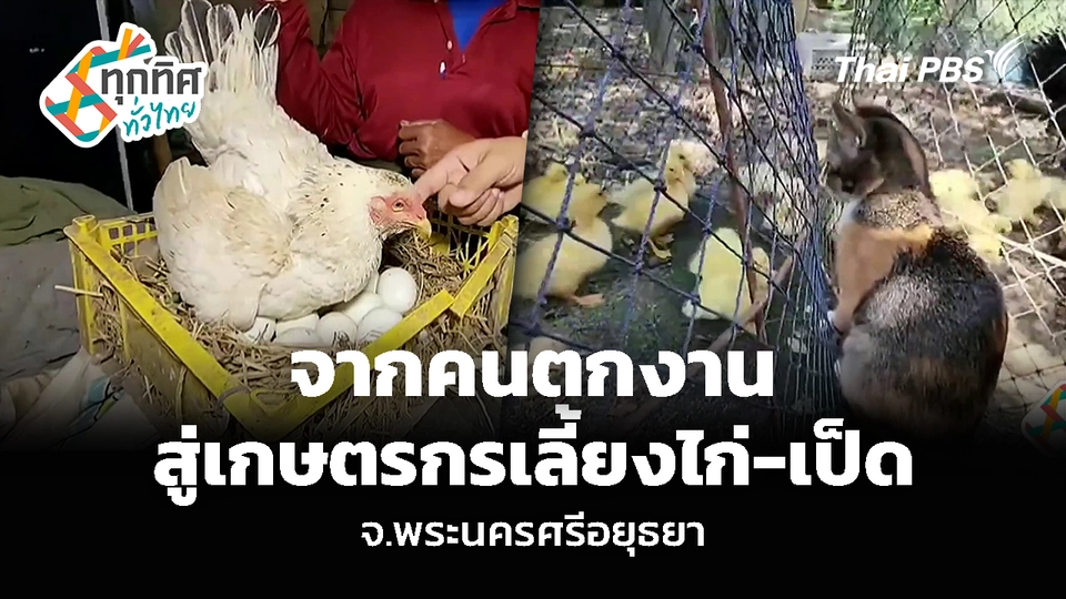 จากคนตกงาน สู่เกษตรกรเลี้ยงไก่-เป็ด จ.พระนครศรีอยุธยา