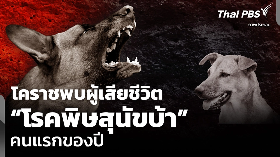 โคราชพบผู้เสียชีวิต “โรคพิษสุนัขบ้า” คนแรกของปี