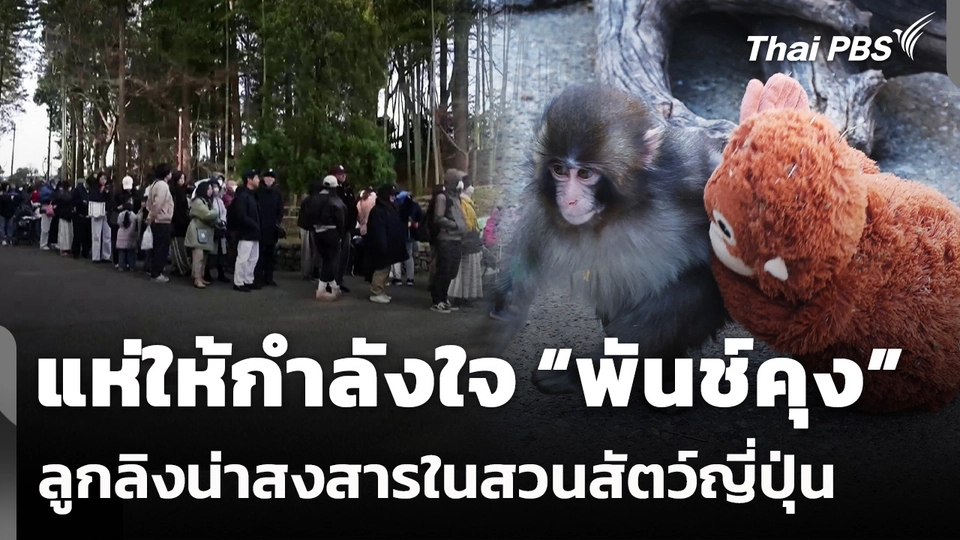แห่ให้กำลังใจ “พันช์คุง” ลูกลิงน่าสงสารในสวนสัตว์ญี่ปุ่น