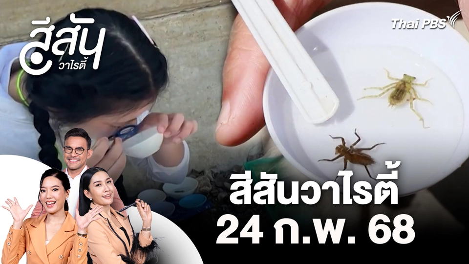 สีสันวาไรตี้ (24 ก.พ. 69)