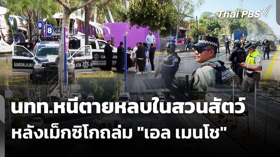 นทท.หนีตายหลบในสวนสัตว์หลังเม็กซิโกเด็ดหัว "เอล เมนโช"