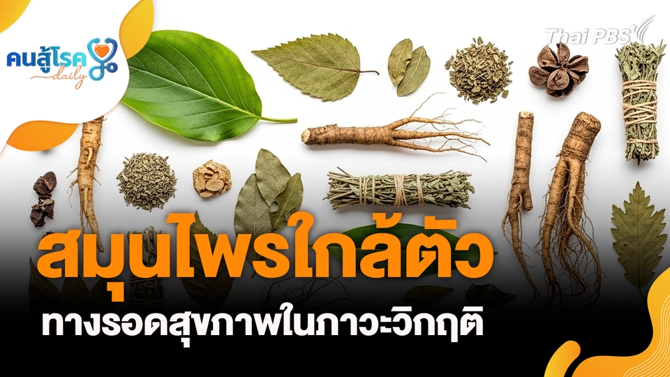 สมุนไพรใกล้ตัว ทางรอดสุขภาพในภาวะวิกฤติ