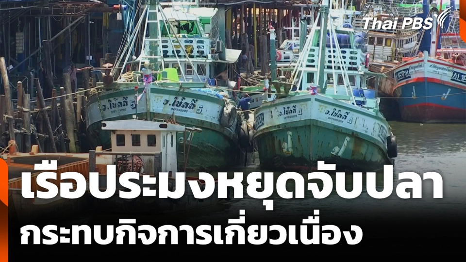 เรือประมงหยุดจับปลา กระทบกิจการเกี่ยวเนื่อง