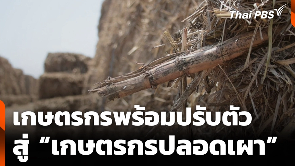 เกษตรกรพร้อมปรับตัว สู่ “เกษตรกรปลอดเผา”