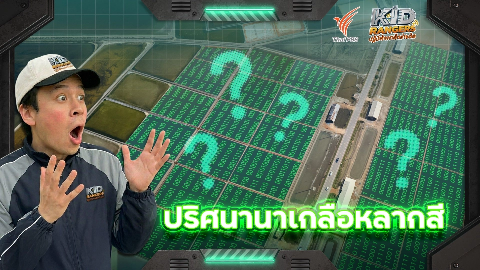 ปริศนานาเกลือเปลี่ยนสี