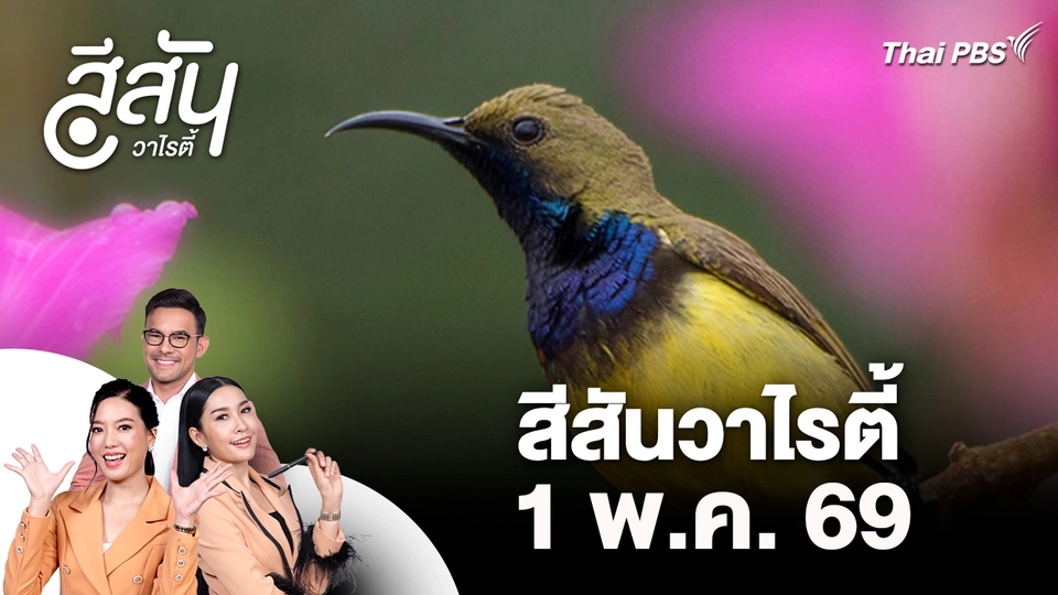 สีสันวาไรตี้ (1 พ.ค. 69)