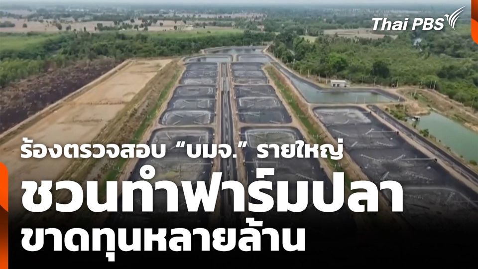 ร้องตรวจสอบ “บมจ.” รายใหญ่ ชวนทำฟาร์มปลา ขาดทุนหลายล้าน